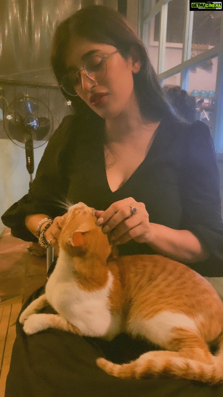 Akasa Instagram - life lessons to catto ❤️🩹 • • • • • • • • #akasa #akasasingh #akasians #akasakebesties #love #animallovers #musician #explore #fyp #cats