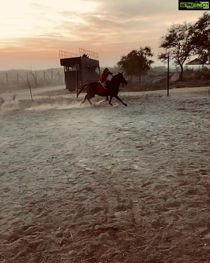 Akhil Akkineni Instagram - Sunday Sunset drills with my one and only! You are the reason I can take on every Monday with a smile dear one #Gizelle hopefully I’ll get you to dance with me soon .... almost there ! Happy Monday guys 🤗👍🏻🔥