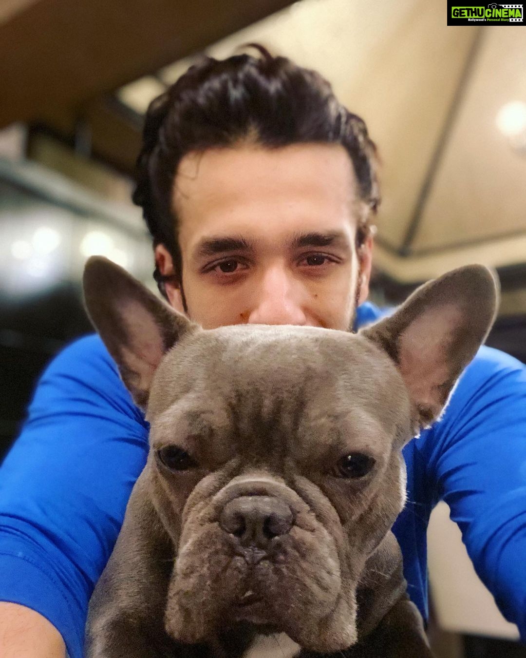 Akhil Akkineni - 287.7K Likes - Homie Number ☝🏻 #drogoakkineni