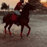 Akhil Akkineni Instagram - Sunday Sunset drills with my one and only! You are the reason I can take on every Monday with a smile dear one #Gizelle hopefully I’ll get you to dance with me soon .... almost there ! Happy Monday guys 🤗👍🏻🔥