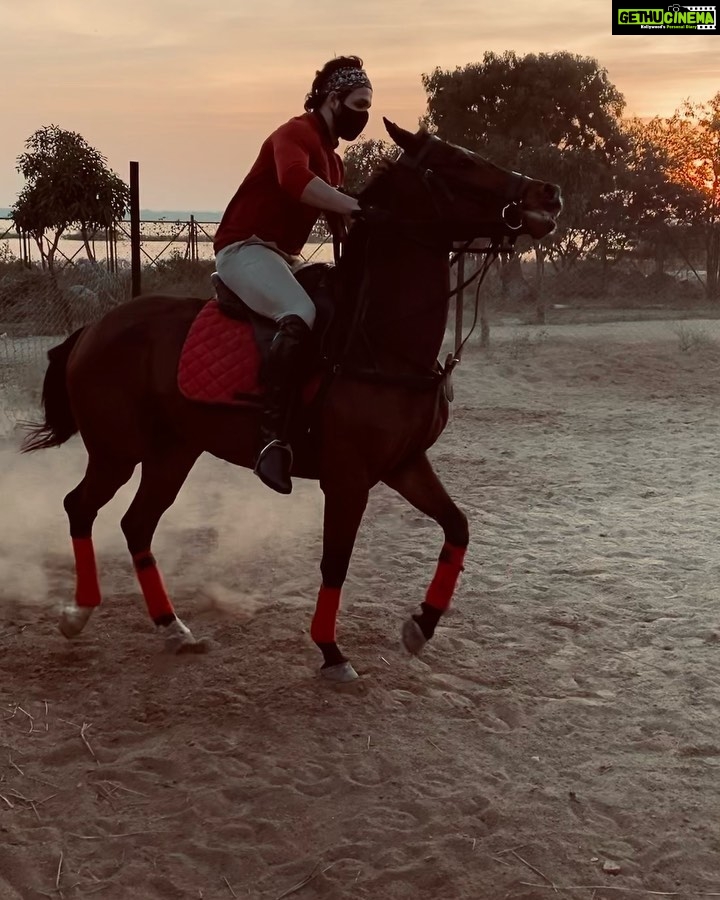 Akhil Akkineni Instagram - Sunday Sunset drills with my one and only! You are the reason I can take on every Monday with a smile dear one #Gizelle hopefully I’ll get you to dance with me soon .... almost there ! Happy Monday guys 🤗👍🏻🔥