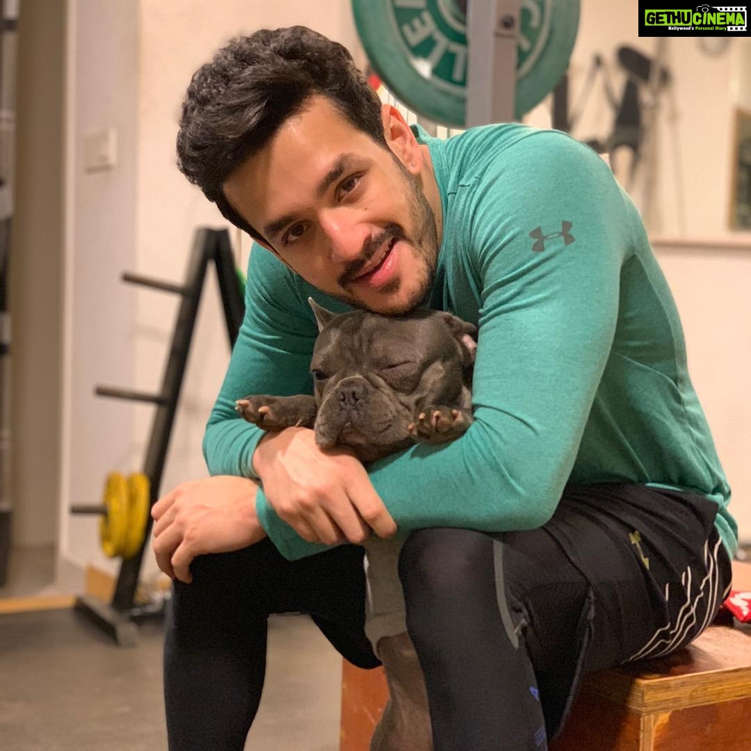 Akhil Akkineni Instagram - Good morning from the Akkineni’s !! A good start to the day. Big day today .... starting the sangeet song, lots of celebration and dancing next 4 days. Have a great day you guys .