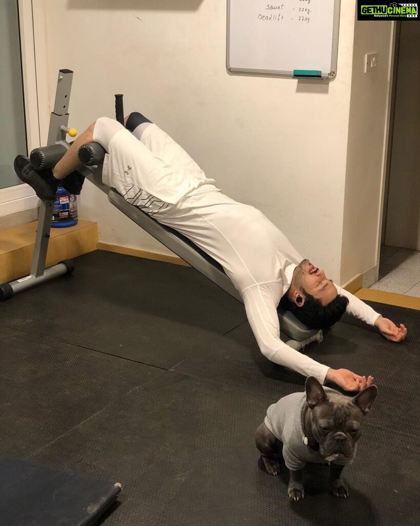Akhil Akkineni Instagram - Just smashed a 445 am work out ! Pretty dead my self but my little drogo seems more dead 😂😂😂. He’s not too happy about this 5 am stuff.!🤷🏻‍♂️ #beatthesunup #2019goals