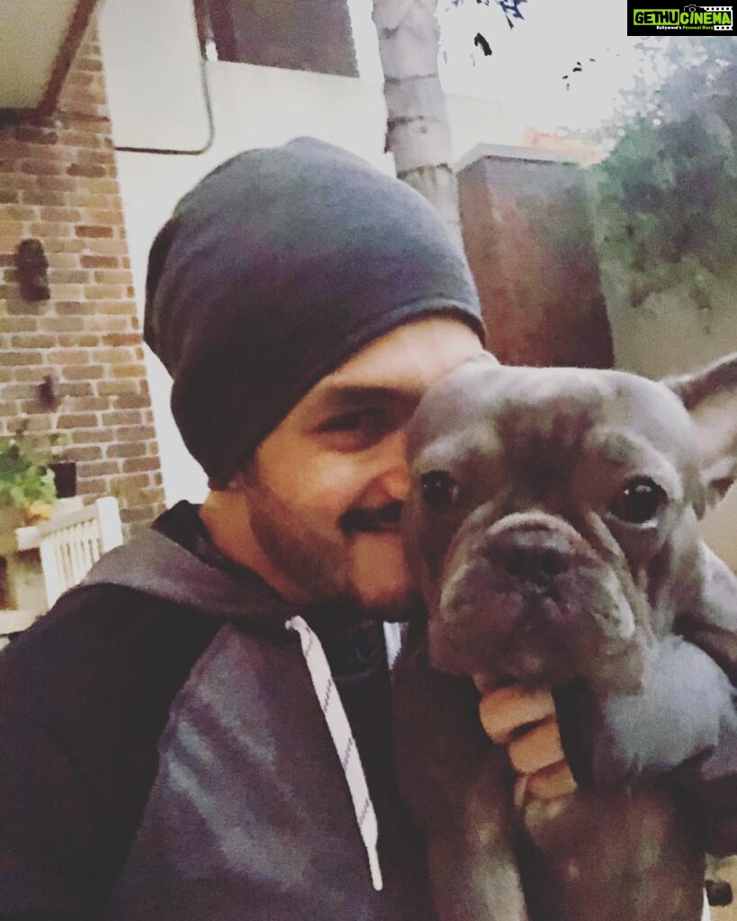 Akhil Akkineni Instagram - Good morning from the both of us ! Well he’s still waking up ! I challenge ! No I actually dare all of you to add some core strengthening in to your life. Trust me it will make u a stronger person in every way. Start off with some planks. Build your way up and remember it’ll be worth the effort. #beatthesunup #5amclub✔️