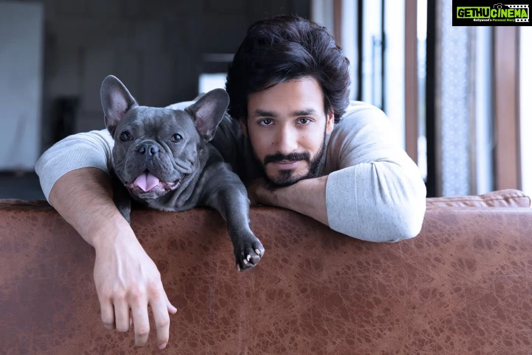 Akhil Akkineni - 291K Likes - My one and only 🐾
#drogo #throwback
Shoot by @rahuljhangiani
Styled by @harmann_kaur_2.0