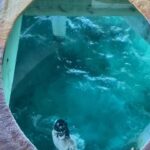 Akhil Akkineni Instagram - Was hard to say bye but i guess good times must come to an end. . . . . . . . . A big shout out to @aadyatravels Maldives
