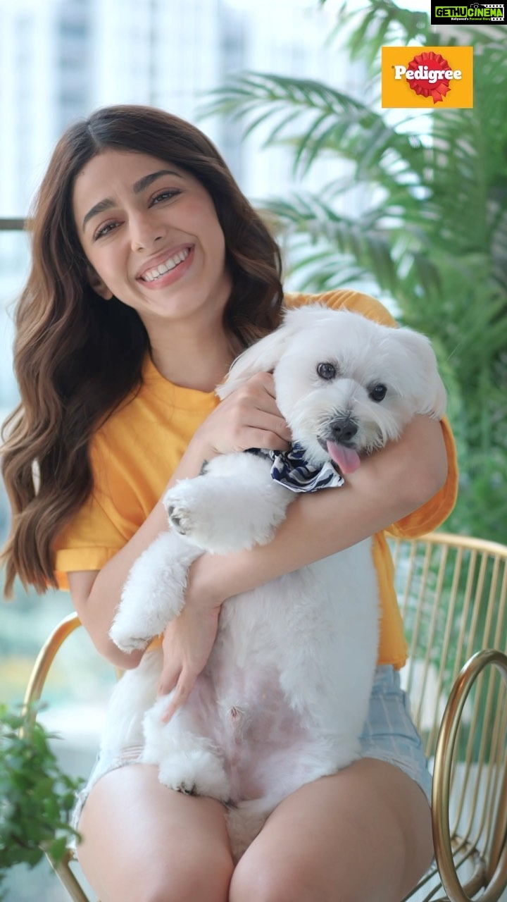 Alaya F Instagram - There’s nothing I love more than spending time outdoors with MJ in the summer! ☀️ But it’s really important to make sure your doggo’s getting enough protein and hydration. That’s where Pedigree gravy comes in! Pedigree gravy has all the nutrition your pup needs to stay happy, healthy & hydrated. And the magic doesn’t end there! It’s so yummy that you’ll always get a clean bowl in seconds whenever you feed your dog Pedigree gravy. No more stress over fussy eating! ✨ But that’s not all… Buy a 4+1 pack of Pedigree gravy, scan the code on the back, and play the Pedigree Clean Bowl Challenge game to stand a chance of winning Pedigree’s Grand Summer Hamper worth ₹20,000! Take the #PedigreeCleanBowlChallenge NOW! @pedigree_india #Pedigree #Summertime #PedigreeCleanBowlChallenge #HappyDog #HappyDogParents #doglover #dogs #dogstagram