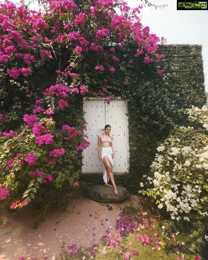 Alaya F Instagram - Holiday content I forgot to post earlier 😋🌸