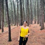 Alphy Panjikaran Instagram - @le_collines @babi_rashid #resort #wagamon #hills #travel #travelphotography #traveltheworld #happiness #peace #picoftheday #enjoy #enjoyyourlife #instagood #instagram #instalike #explorepage #explore #nature #love Le Collines Resort Vagmon