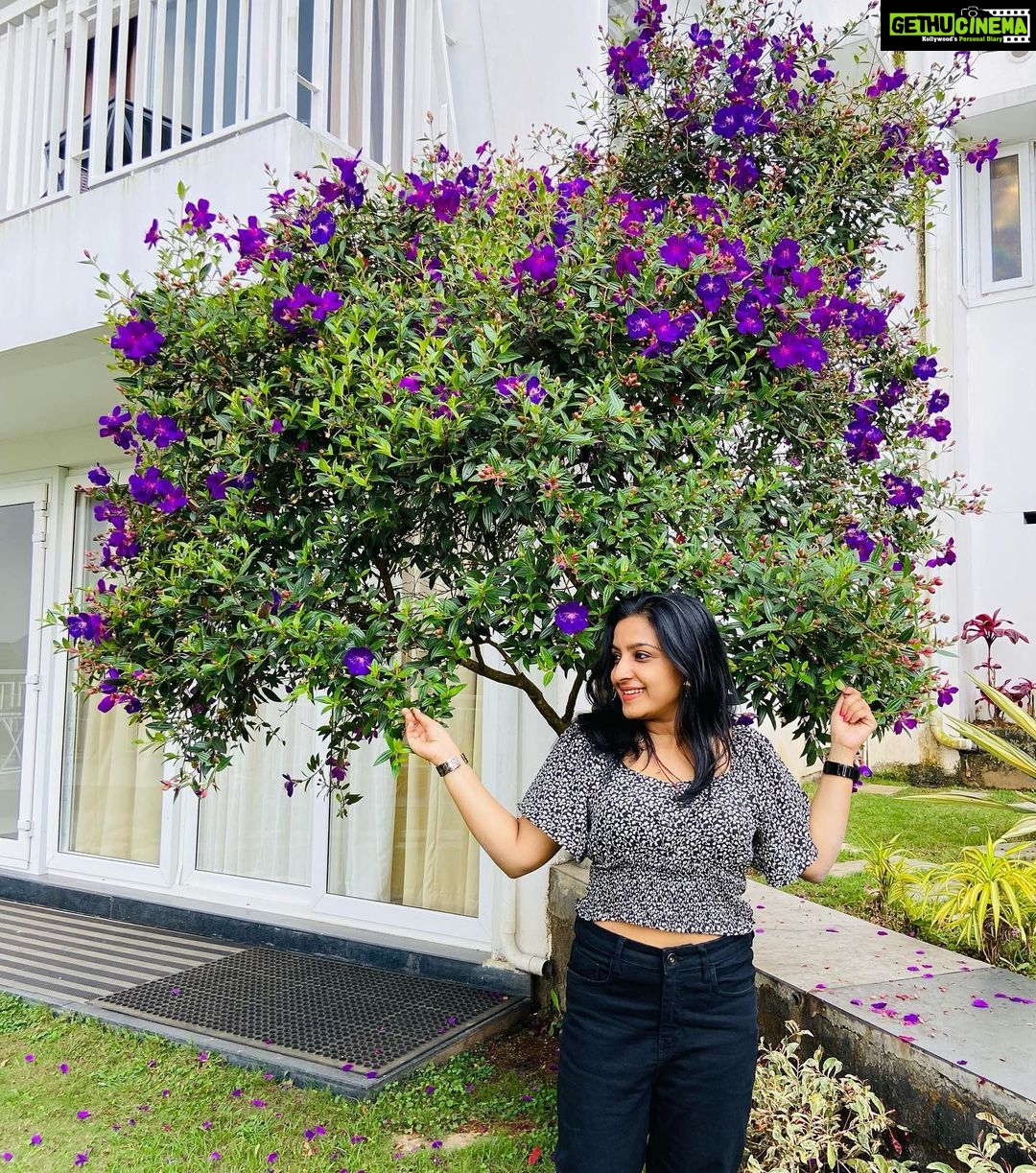Alphy Panjikaran Instagram - @le_collines @babi_rashid #resort #travel #travelphotography #wagamon #lecollinesresort #instagram #traveler #peace #happy #picoftheday #explore #explorepage #travelgram #hills #nature #naturephotography #love #goodvibes #instagood #therapy Le Collines Resort Vagmon