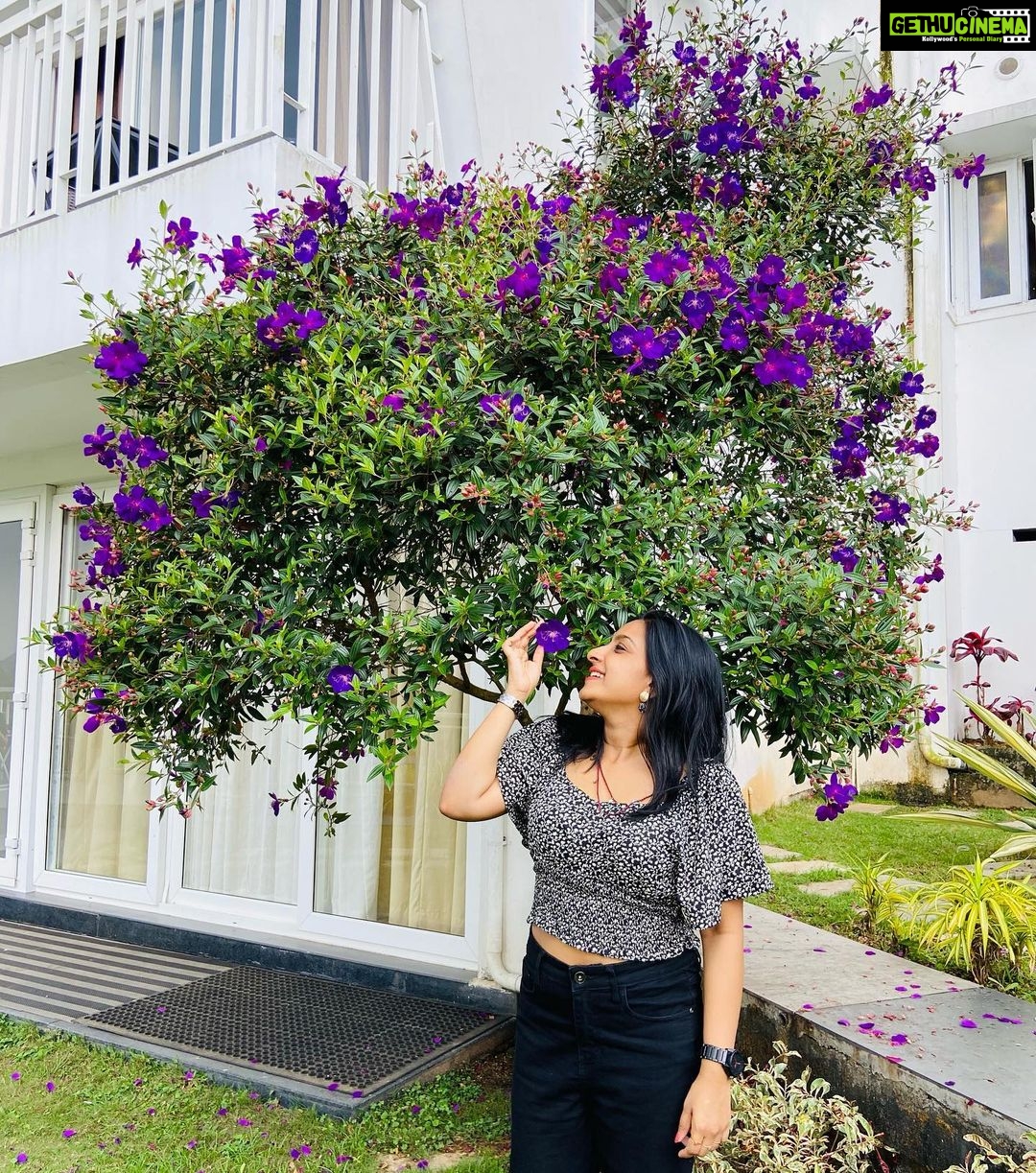 Alphy Panjikaran Instagram - @le_collines @babi_rashid #resort #travel #travelphotography #wagamon #lecollinesresort #instagram #traveler #peace #happy #picoftheday #explore #explorepage #travelgram #hills #nature #naturephotography #love #goodvibes #instagood #therapy Le Collines Resort Vagmon