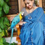 Alphy Panjikaran Instagram - 🦋🦋 @ann_digital_media_concepts_ 📸 @chakitha_designs 👗 @an._____u #happiness #picoftheday #holiday #may #2023 #Waitingforyou #attitude #confidence #life #story #explore #function #saree #love #yourstory #trending #instagood #instagram #instadaily Muhamma