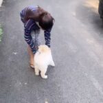 Amritha Aiyer Instagram – Never ever I had a pet in my life , ever since you came your taking me into a whole new world altogether my boy ❤️ 

The only thing on earth that loves you more than you love yourself. 
#fluffy ❤️