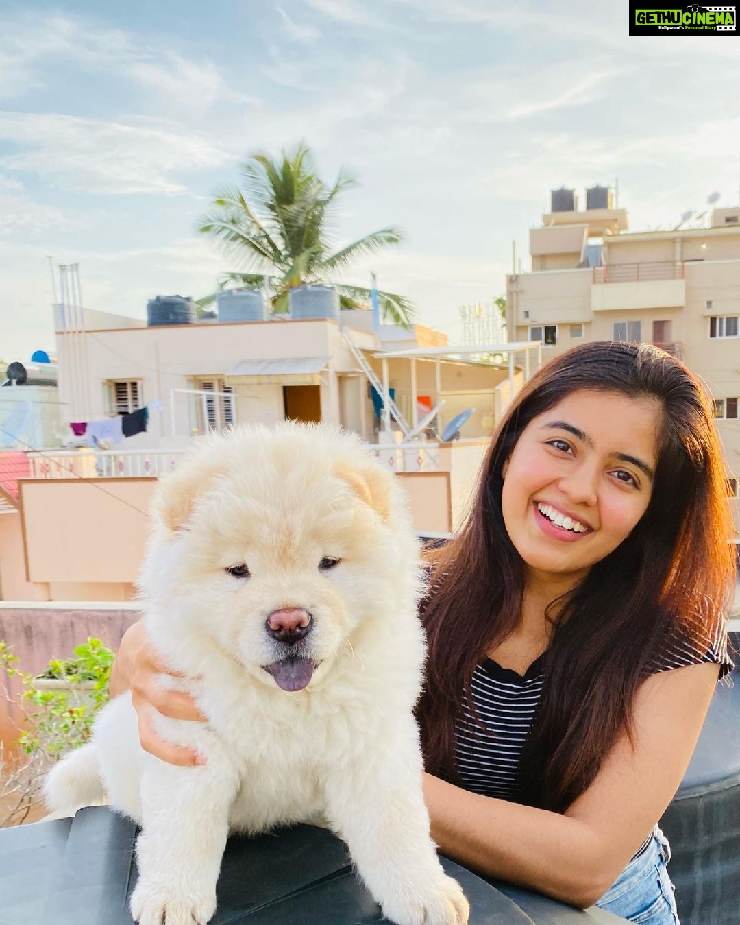 Amritha Aiyer - 308.2K Likes - Meet my new baby brother ❤️ Fluffy ❤️
Welcome to our family my little one 🐾
#fluffy#chowchow
