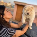 Amritha Aiyer Instagram - Meet my new baby brother ❤️ Fluffy ❤️ Welcome to our family my little one 🐾 #fluffy#chowchow