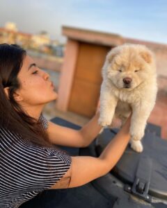 Amritha Aiyer Instagram - Meet my new baby brother ❤️ Fluffy ❤️ 
Welcome to our family my little one 🐾

#fluffy#chowchow
