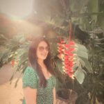 Anjana Sukhani Instagram - "SLAZY' ....wen iam lazy and still slaying .....❤️ @evolvebackresorts #lazylamhe #Angiemusings❤️ #anjanasukhani #sindhigirl #hammocklife #traveldiaries2022❤️ #wanderer #vagabondgal #coorg #scotlandofindia Evolve Back- Orange County, Coorg