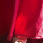 Ansha Sayed Instagram -