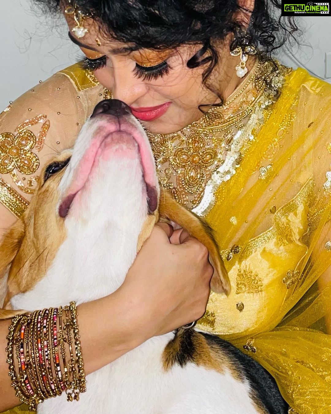 Apsara Rani Instagram - With my little Prince❤️🪔🎊🎉 @princeharry18_ . . . #silentdiwali #happydiwali #apsara #apsararani #harrythebeagle