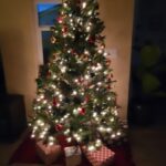 Archana Suseelan Instagram - Our Christmas tree is ready 🤩