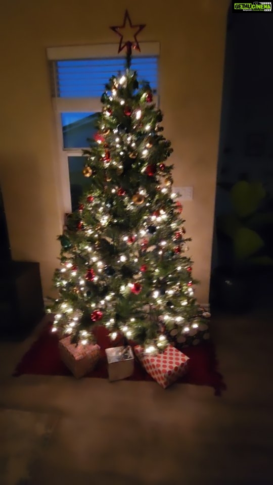 Archana Suseelan Instagram - Our Christmas tree is ready 🤩