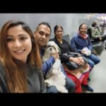 Archana Suseelan Instagram -