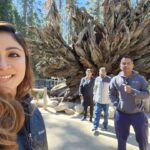 Archana Suseelan Instagram –  Yosemite Mariposa Grove