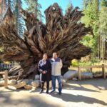 Archana Suseelan Instagram –  Yosemite Mariposa Grove