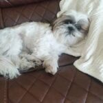 Archana Suseelan Instagram -