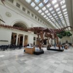 Archana Suseelan Instagram - Field Museum