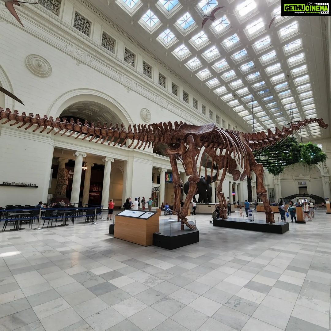 Archana Suseelan Instagram - Field Museum