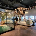 Archana Suseelan Instagram - Field Museum