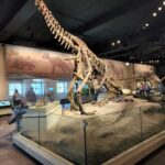 Archana Suseelan Instagram - Field Museum