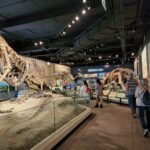 Archana Suseelan Instagram - Field Museum