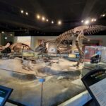 Archana Suseelan Instagram - Field Museum
