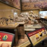 Archana Suseelan Instagram - Field Museum