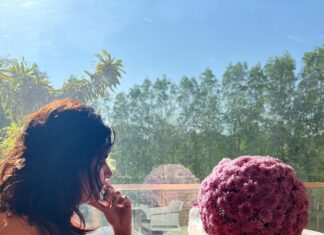 Ashima Narwal Instagram - Something magical about this time of the year! Hyderabad