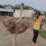 Bala Instagram - ostrich irukule wowwwww❤❤❤ @naveengarden @joshapp.tamil #josh