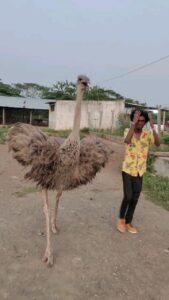Bala Instagram - ostrich irukule wowwwww❤❤❤ 
@naveengarden 

@joshapp.tamil 
#josh