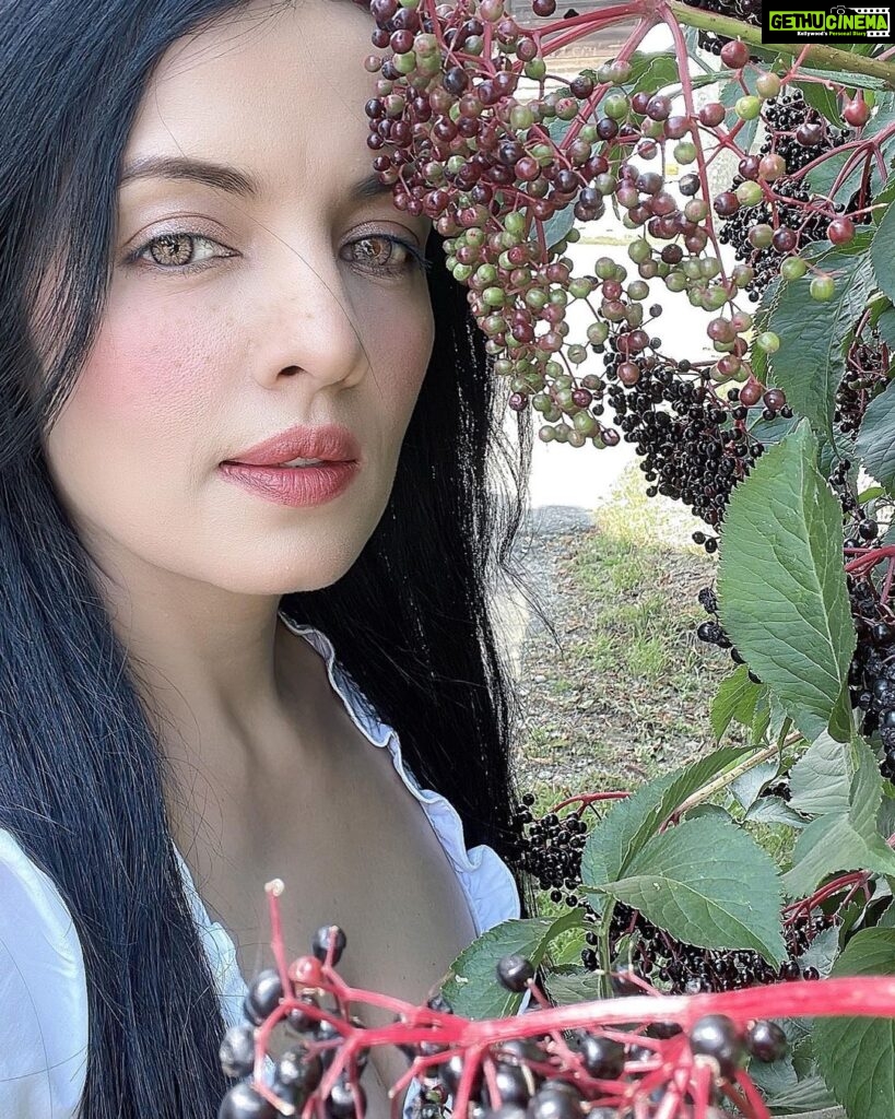 Celina Jaitly Instagram - #FromTheDeskOfCelinaJaitly Loving myself with all my textures… I make this gesture to reach out to you to be true be you… It took me 40 years to reach my true self and I am loving it !! !! Have a BERRY GOOD Sunday !! #women #40 #lovemyself #betruetoyourself #celina #celinajaitly #celinajaitley #celinajaitlyhaag #fitandfabulous #beautyqueens4ever #beautyqueen #indianwomen #austriangirl #austria #missuniverse #missindia #bollywood #indianactress #beauty Austria, Europe