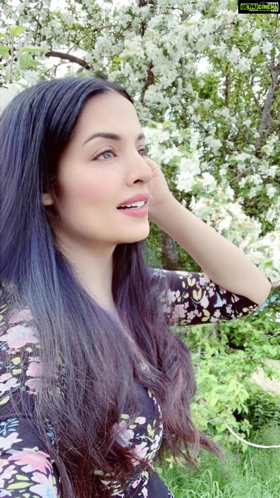 Celina Jaitly Instagram - It is spring again and the Earth laughs in flowers. Someone once said: You can cut all the flowers, but you cannot keep spring from coming. #springflowers #celinajaitly #celinajaitley #celinainnature #naturelovers #bollywood #austria Austria, Europe