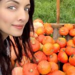 Celina Jaitly Instagram - MY ALPINE LIFE | The first memoir of Autumn 2022 !! “Come oh Autumn.. touch everything with your mystical wand and let the magic begin !!!!” #austria #autumn #autumnishere #alpine #european #visitaustria #autumnvibes #memoir #celina #bollywood #celinajaitly #indianactress #austriangirl #celinajaitley #celinajaitlyhaag #mountainlife #magical #alpinelife #magicalmoments #nature #naturelovers #autumnvibes🍁