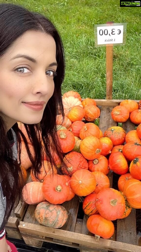 Celina Jaitly Instagram - MY ALPINE LIFE | The first memoir of Autumn 2022 !! “Come oh Autumn.. touch everything with your mystical wand and let the magic begin !!!!” #austria #autumn #autumnishere #alpine #european #visitaustria #autumnvibes #memoir #celina #bollywood #celinajaitly #indianactress #austriangirl #celinajaitley #celinajaitlyhaag #mountainlife #magical #alpinelife #magicalmoments #nature #naturelovers #autumnvibes🍁