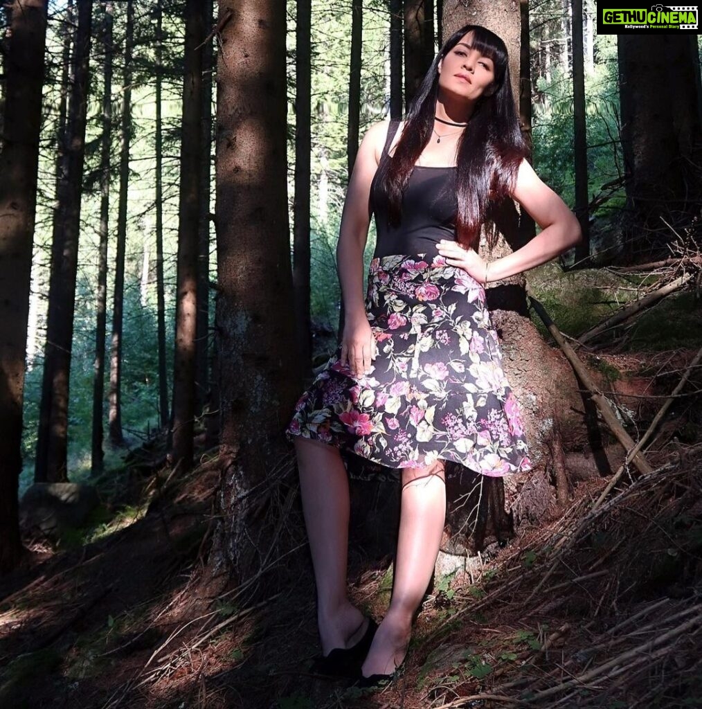Celina Jaitly Instagram - MY ALPINE LIFE | AUSTRIA A forest is a place between heaven and earth where you can loose your mind and find your soul !! Photograph | @haag.peter #alpinelife #austria #austriangirl #indiangirl #bollywood #european #europe #forests #forestphotography #forestlovers #forestsofinstagram #visitaustria Austria, Europe