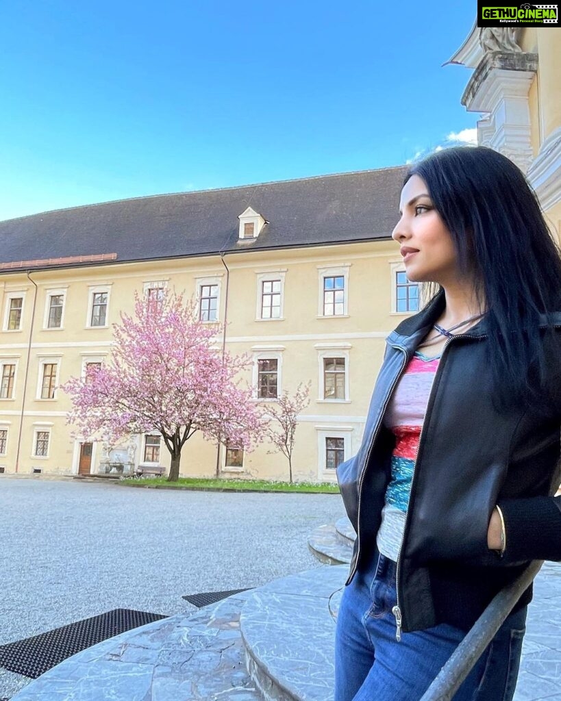 Celina Jaitly Instagram - When the Cherry blossoms bloom in Austria… It’s official that it’s now spring…. Beautiful Spring with all its glory of Cherry and apple blossoms is always so symbolic… After all, our story is written by the one who knows us better than we know ourselves. Trust the process and remember that fate is never late, so endure with beautiful patience……… #cherryblossom #celinajaitly #austria #naturelovers #bollywood #quotes Austria, Europe