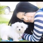 Celina Jaitly Instagram - GOOBLEE 2009-2022 @celinajaitlyofficial : He came all the way from Singapore and lit my life up,l. Before I knew it he had won over my Mother who was “afraid” of Dogs all her life and gave great comfort to her by becoming her loyal miniature companion. He went cross country driving with my very adventurous parents and travelled the whole of India on expeditions. Following my parents passing he was adopted by my best friend @ragebydkloset and his husband @ashishsrivastava who loved and cared for him like their own baby. He left us yesterday having impacted all our lives on so many different levels Mumbai, Maharashtra