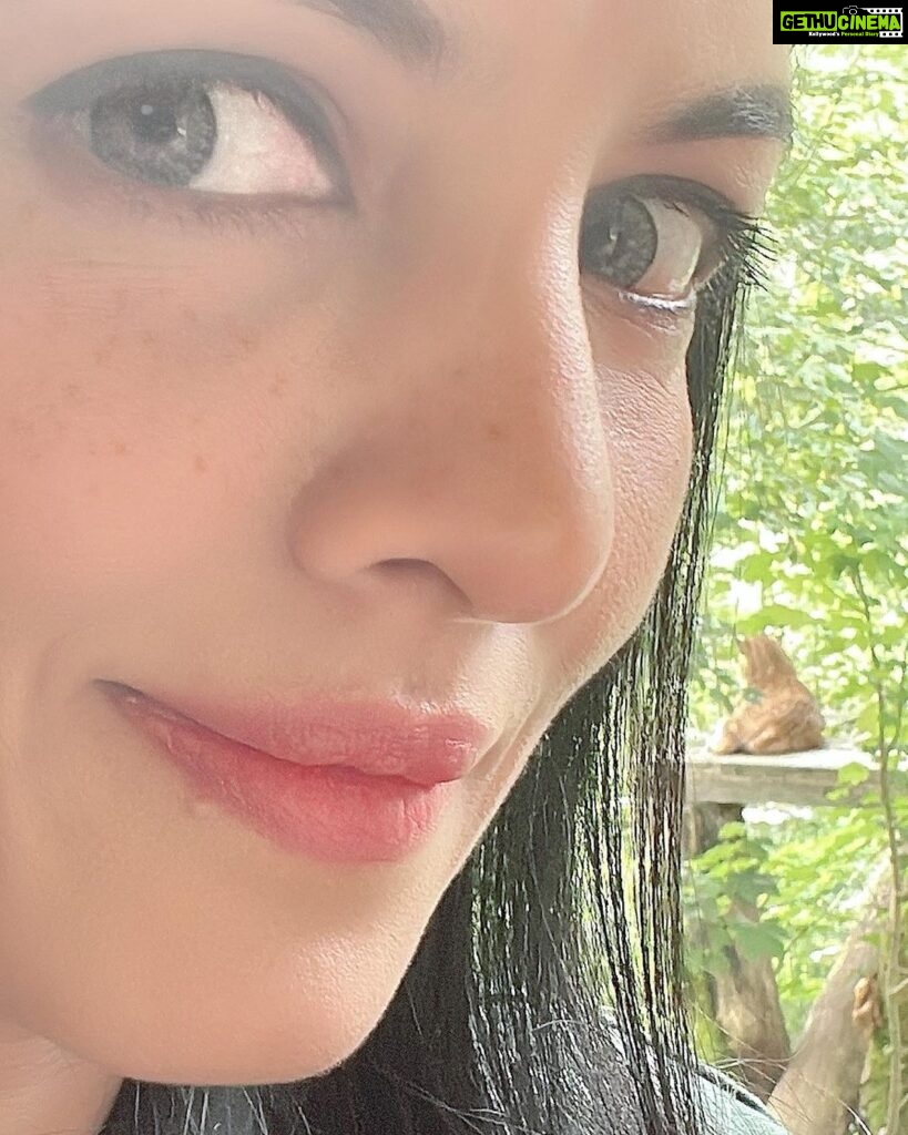 Celina Jaitly Instagram - Can you guess which animal is photobombing my selfie ? The name starts with an “L”!! #celinajaitly #celinajaitley #celina #beautiful #beautifulwomen #indianwomen #indianactress #bollywood #fashion #indiangirls #sexy #hair #skin #beautyqueen #missindia #missuniverse #icon #glassskin #catsofinstagram #bareskin Cumberland Wildpark