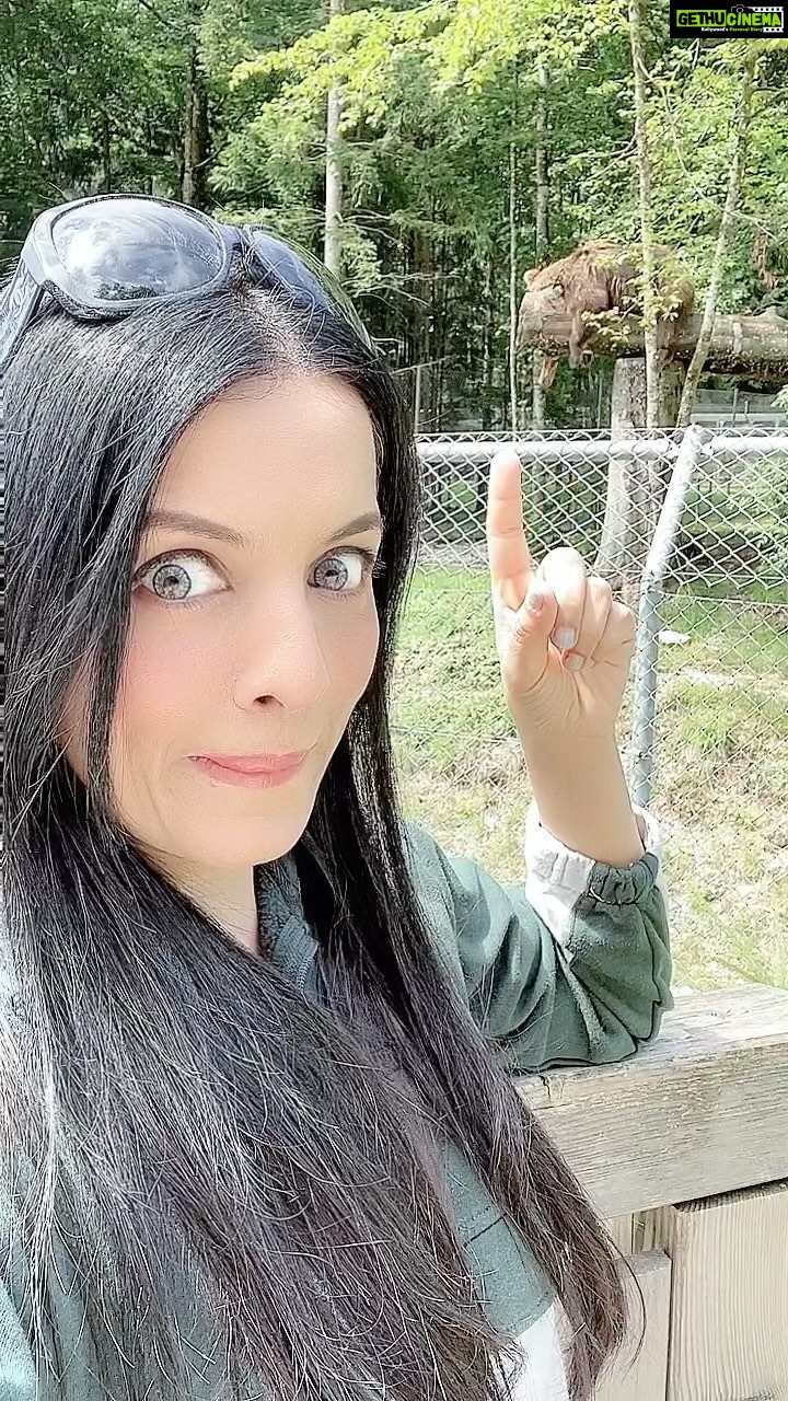 Celina Jaitly Instagram - Had a “Beary Good” weekend !! 🧸 #celinajaitly #celinajaitley #celina #beautiful #indianwomen #indianactress #beautifuleyes #beautifulhair #bollywood #fashion #indiangirls #sexy #hair #skin #beautyqueen #missindia #missuniverse #glassskin #photographs #blackhair #silkyhair #longhair #hairstyle #greyeyes #bear Cumberland Wildpark