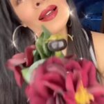 Celina Jaitly Instagram - Aaj Galib ji ki rooh kaanp uthi ! #celinajaitly #celinajaitley #bollywood #shayari #funnyshayari #indiancomedy #comedy #hindicomedy #urducomedy #funnyviral #funnyreels #india #uk #usa #uae #southafrica #australia #canada #germany #austria #funnywomen #laughoutloud #weekendvibes