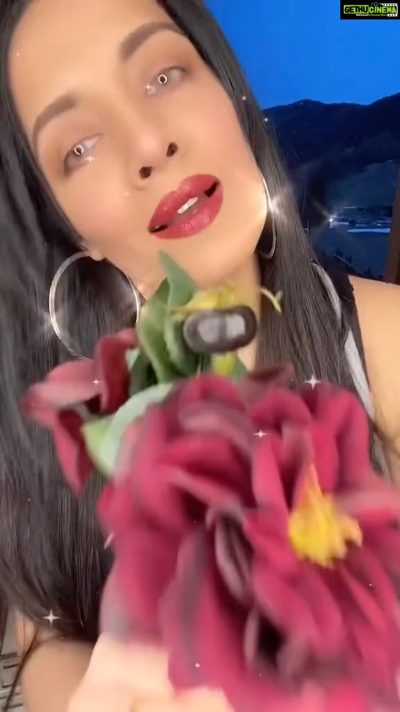 Celina Jaitly Instagram - Aaj Galib ji ki rooh kaanp uthi ! #celinajaitly #celinajaitley #bollywood #shayari #funnyshayari #indiancomedy #comedy #hindicomedy #urducomedy #funnyviral #funnyreels #india #uk #usa #uae #southafrica #australia #canada #germany #austria #funnywomen #laughoutloud #weekendvibes